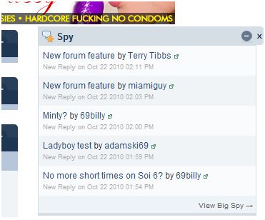 Attached Image: minispy.JPG